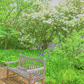 Springtime At Cheekwood Estates